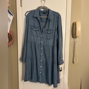 Velvet Heart 1x denim button up dress